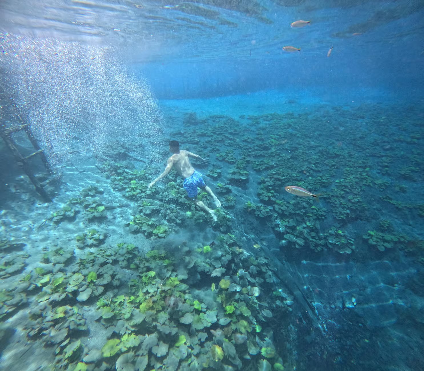 Crater Azul: Explora un Paraiso natural de Aguas Turquesa
