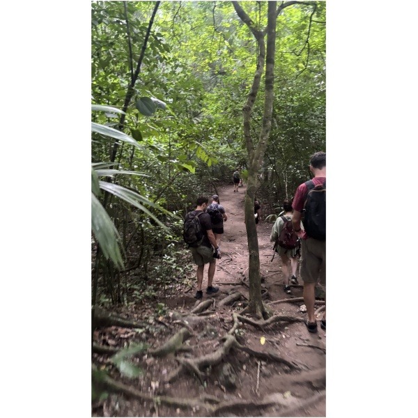 Desde Flores Tour al Atardecer en Tikal (Entradas incluidas) — foto 3