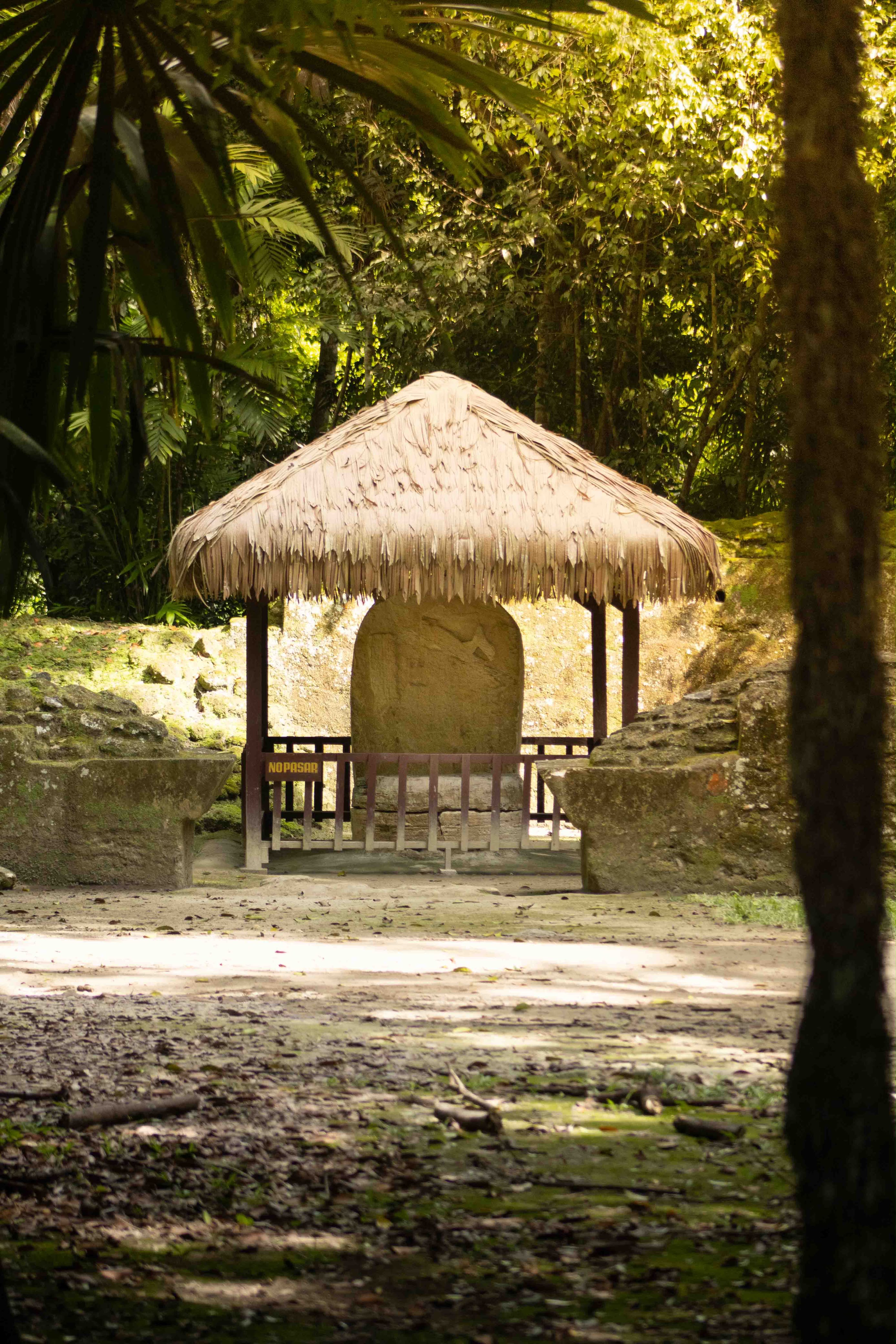 Tikal Tour Básico — foto 3